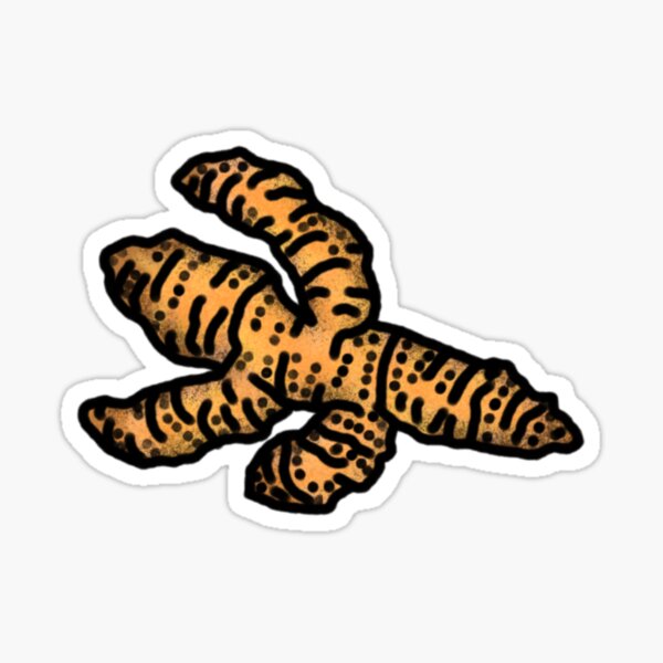 Turmeric Sticker