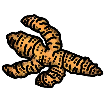 Artwork thumbnail, Turmeric by NiceButton