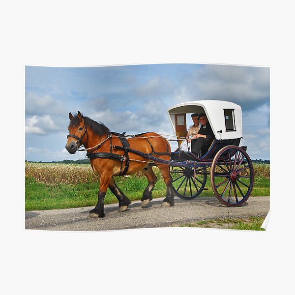 Together in a carriage Poster