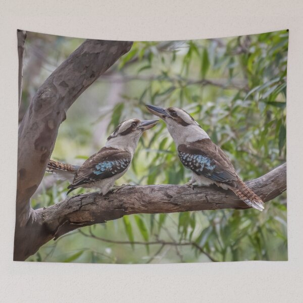 Item preview, Couple of Kookaburras designed and sold by Roger  Mackertich.
