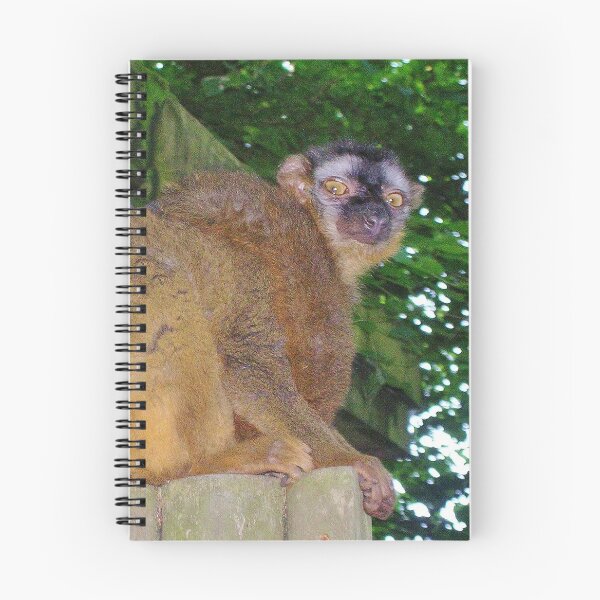 Item preview, Red Fronted Lemur designed and sold by lezvee.
