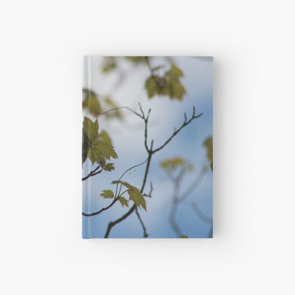 in Bloom Hardcover Journal