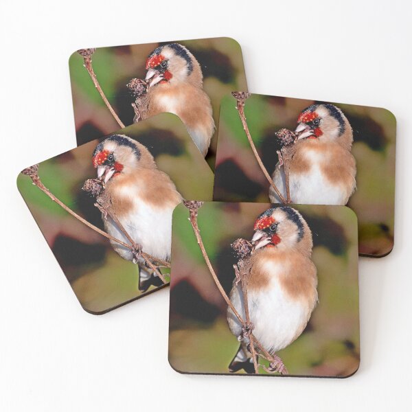 Item preview, Goldfinch, Carduelis carduelis designed and sold by BryanDevon.