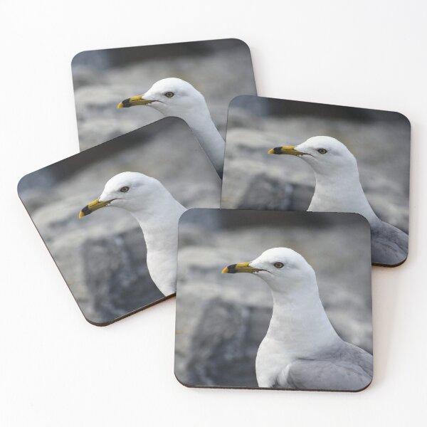 Item preview, Gull designed and sold by Megan Newman.