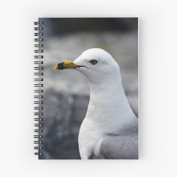 Item preview, Gull designed and sold by Megan Newman.