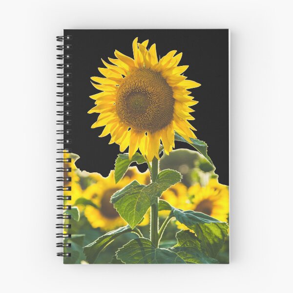 Item preview, Sunflower designed and sold by Gurla.