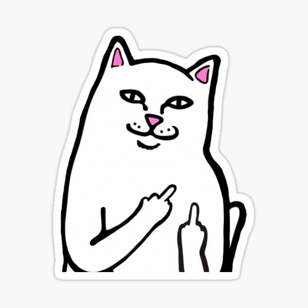 Cute Cat 2020 Sticker