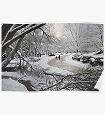 Snowstorm - Burke, Virginia Poster
