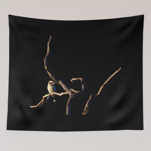 Item preview, A Kookaburra In A Bare Tree Taken At Dawn On Black designed and sold by Jason Gilbert.