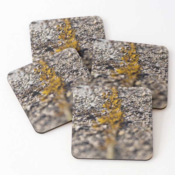 Item preview, Seaweed And Rope designed and sold by Terri Waters Photography & Design.