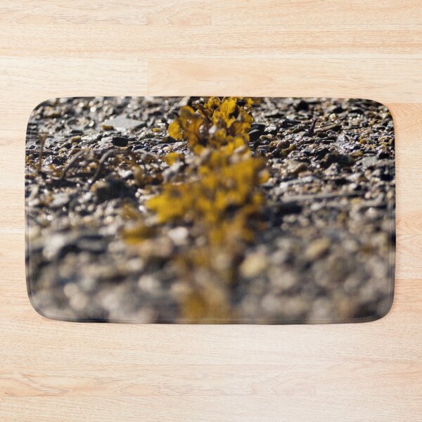 Item preview, Seaweed And Rope designed and sold by Terri Waters Photography & Design.