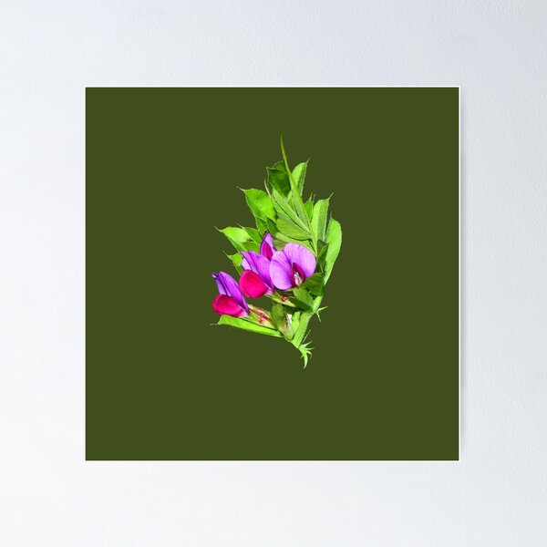 Item preview, Copy of Pea Flower On Dark Olive Green designed and sold by Jason Gilbert.