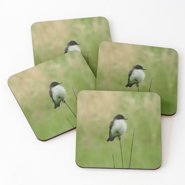 Item preview, Eastern Kingbird designed and sold by shotsfromthehip.