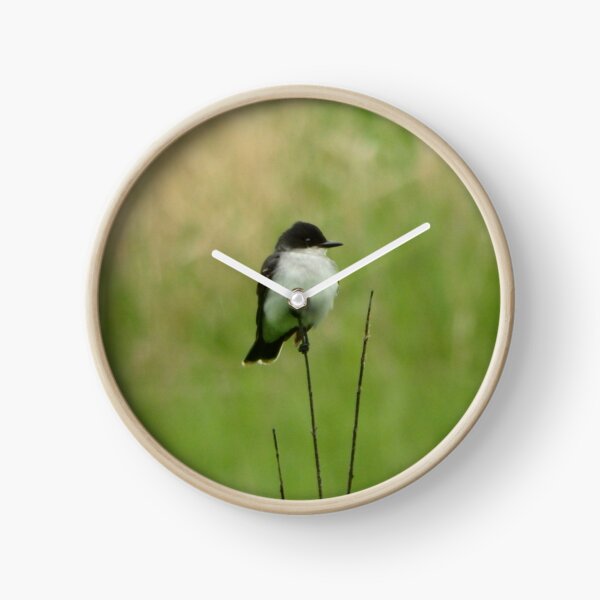 Item preview, Eastern Kingbird designed and sold by shotsfromthehip.