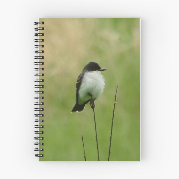 Item preview, Eastern Kingbird designed and sold by shotsfromthehip.