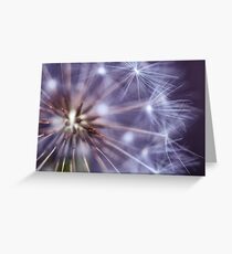 Dandelion Macro Greeting Card