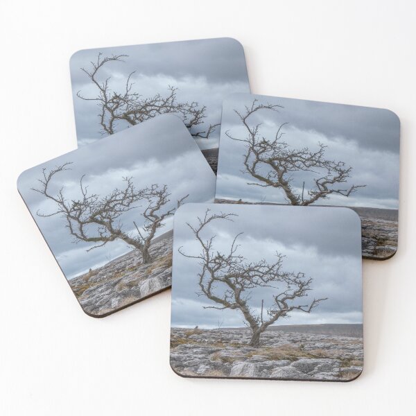 Item preview, Hawthorn on Limestone designed and sold by mikebov.