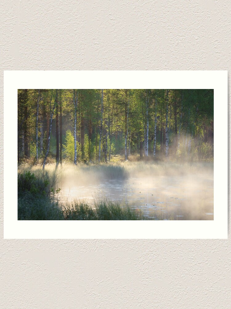 Alternate view of Small forest pond at sunrise Art Print