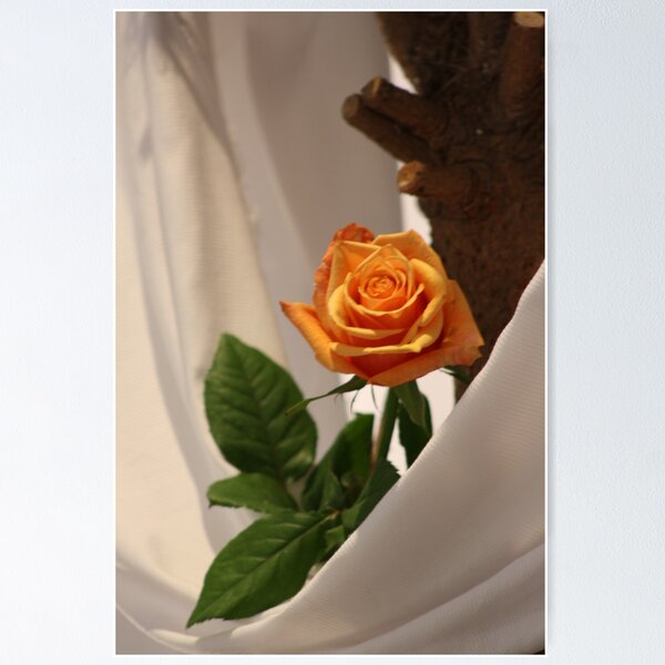 Item preview, Rose designed and sold by Digitalaussie.