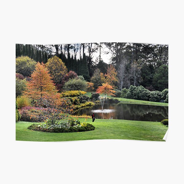 Bisley Gardens - Mt Wilson NSW Australia Poster