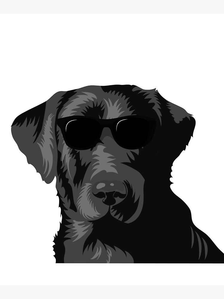 "black labrador wearing sunglasses" Tote Bag by gezwaters Redbubble