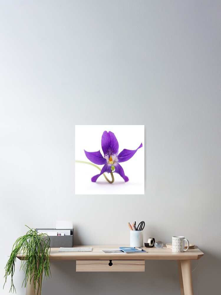 Thumbnail 2 of 3, Poster, violet designed and sold by CarineLUTT.