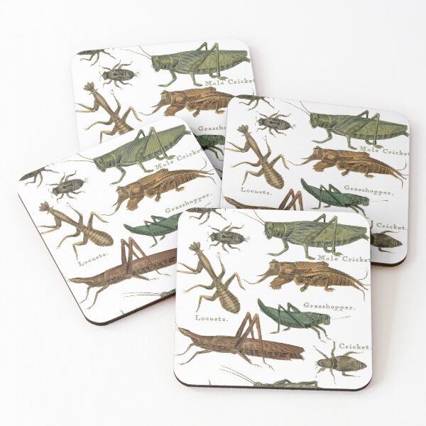 Item preview,  Insects 56 designed and sold by Salocin.