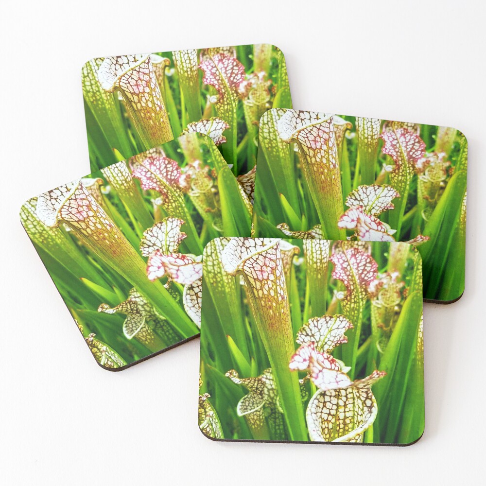 Item preview, Coasters (Set of 4) designed and sold by Racsontos.