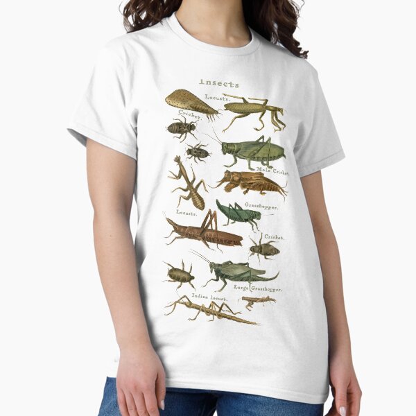 Item preview,  Insects 56 designed and sold by Salocin.