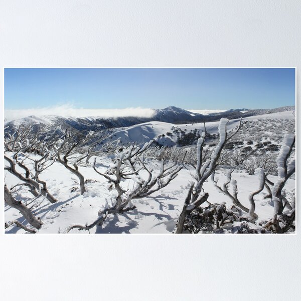 Item preview, Mt Featertop panorama designed and sold by Charles Kosina.