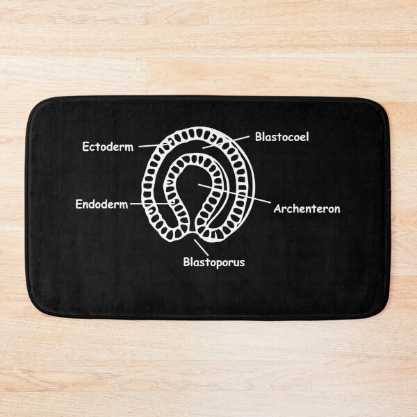 Item preview, Gastrulation designed and sold by RosArt100.