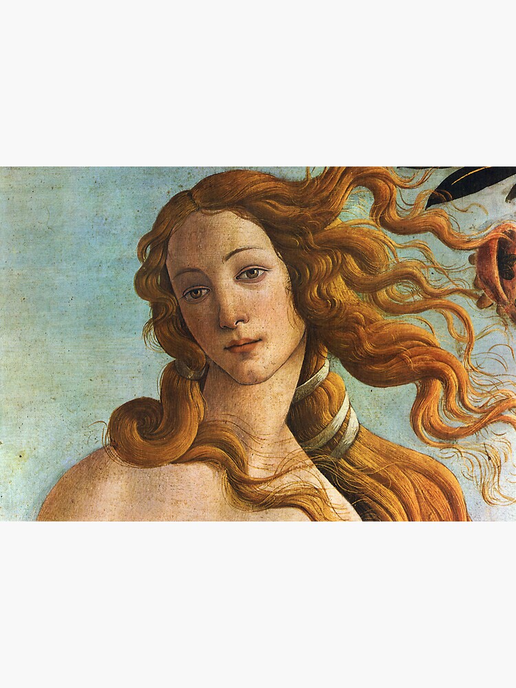 The Birth of Venus - Breaking Down the Meaning of Famous Botticelli  Painting