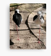 Stilts Canvas Print