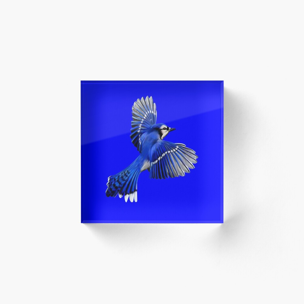 Flying Blue Jay Art Print by GraphicalNature