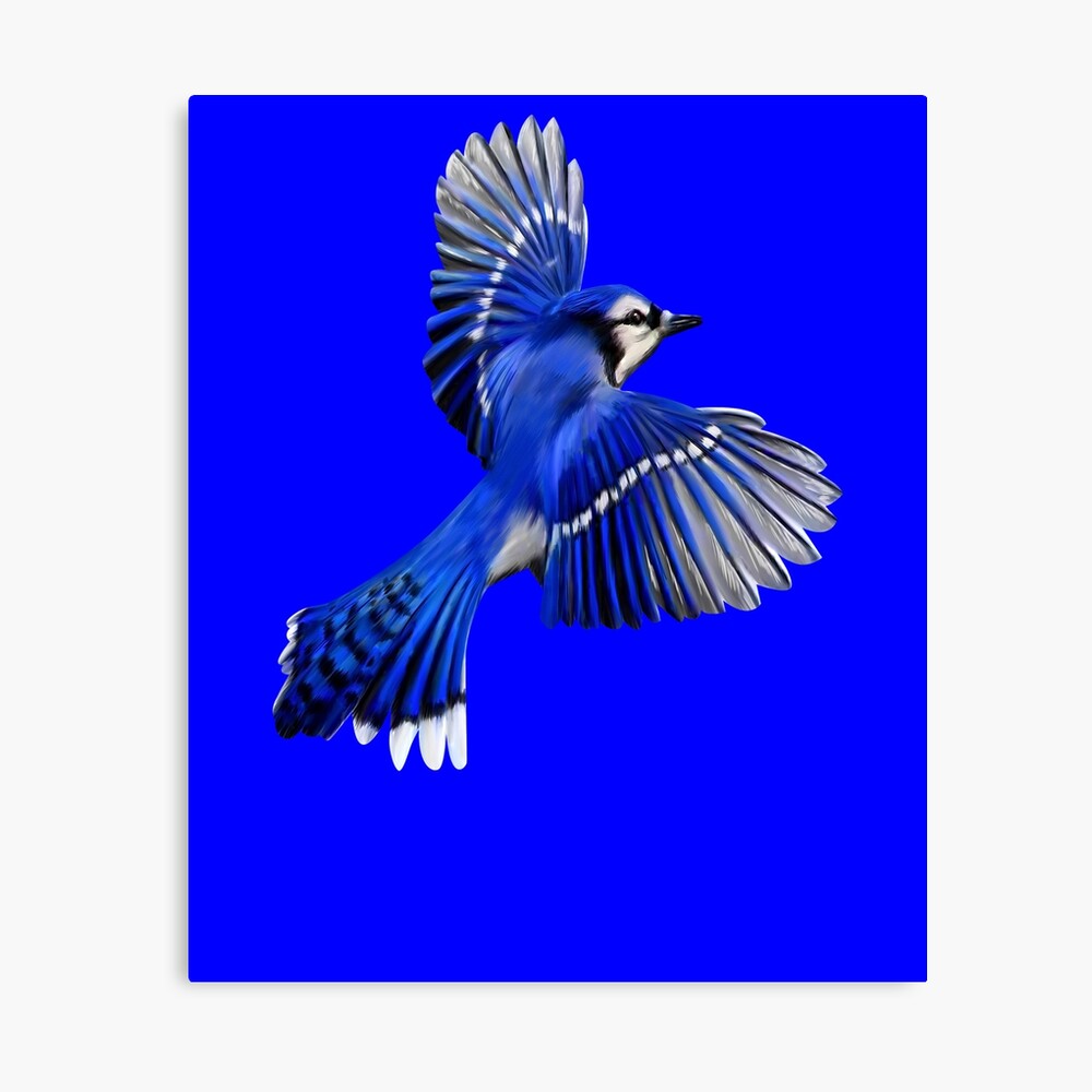 Blue Jay Art Design Flying Blue Jay  iPad Case & Skin for Sale by  fantasticdesign