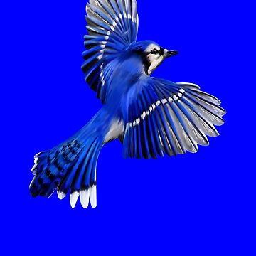 Flying Blue Jay Art Design Portrait Blue Jay. Premium T-Shirt