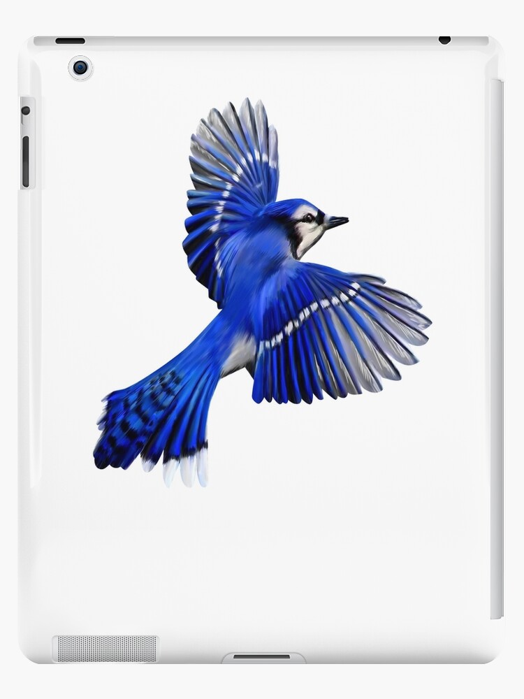 Blue Jay Bird Digital Painting Art, with Nature on Background. Generative  AI Stock Illustration - Illustration of songbird, flight: 273356927