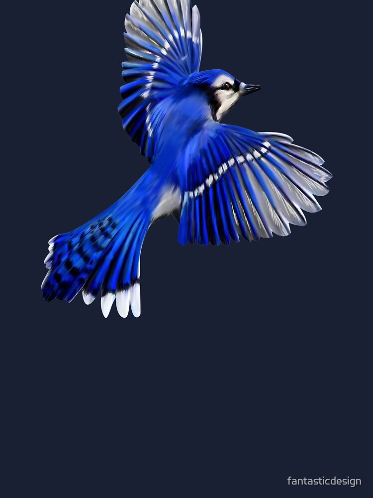 Flight Of The Blue Jay 2016 on Behance