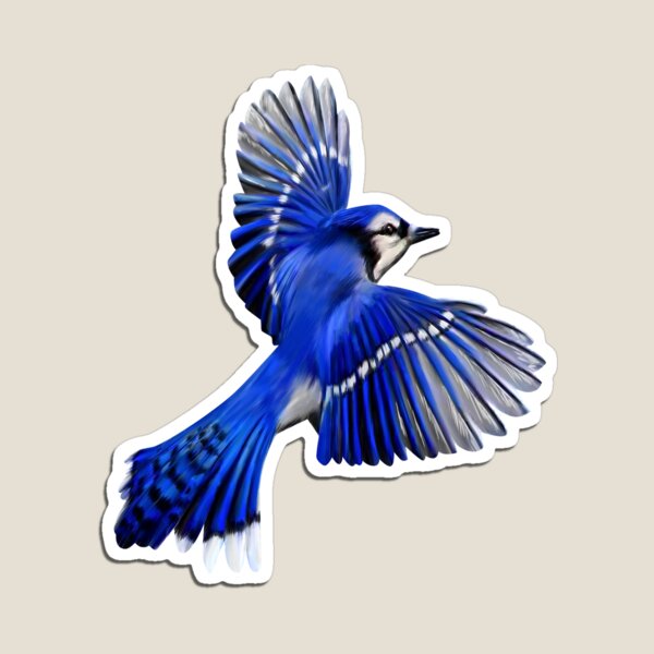 Flying Blue Jay Art Design Portrait Blue Jay. Premium T-Shirt