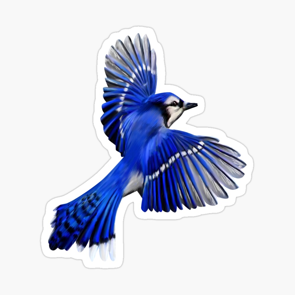 Flying Blue Jay Paint By Numbers