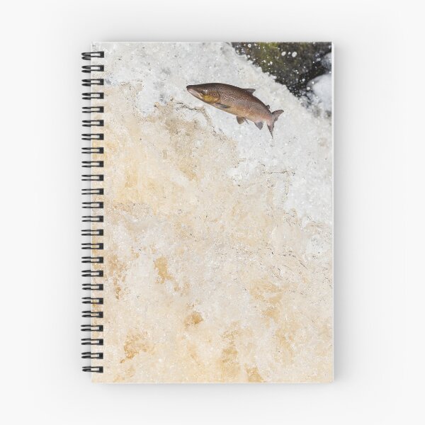 Item preview, Leaping salmon fish atlantic salmon designed and sold by chanonry.