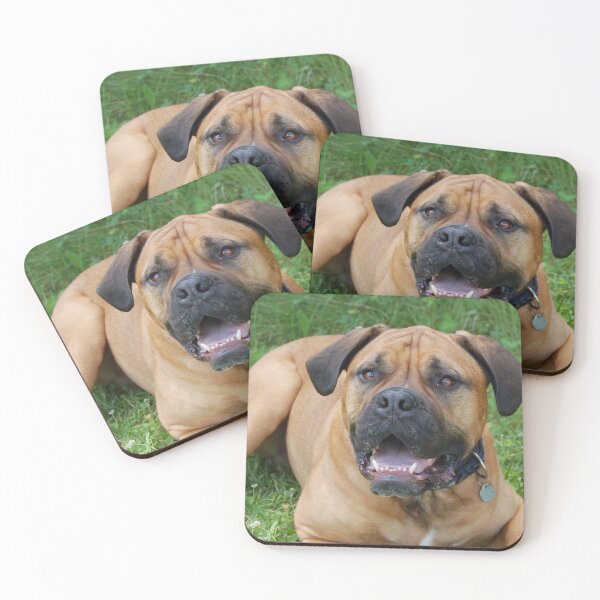 Item preview, English bull mastiff male dog  designed and sold by Jaidaoele.