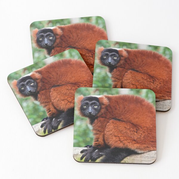 Item preview, Red Ruffed Lemur Varecia Rubra designed and sold by Terri Waters Photography & Design.