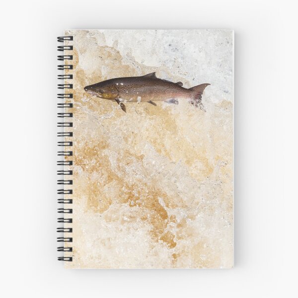 Item preview, Copy of Leaping salmon fish atlantic salmon designed and sold by chanonry.