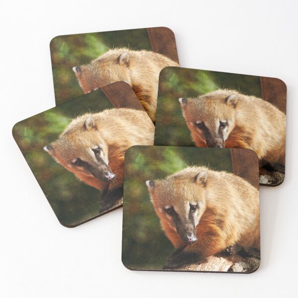 Item preview, Ring Tailed Coati designed and sold by Terri Waters Photography & Design.