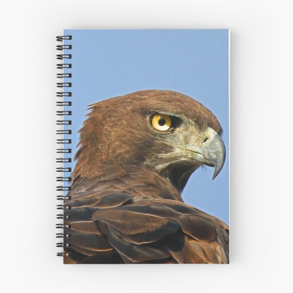 Item preview, Martial Eagle designed and sold by Anthony Goldman.