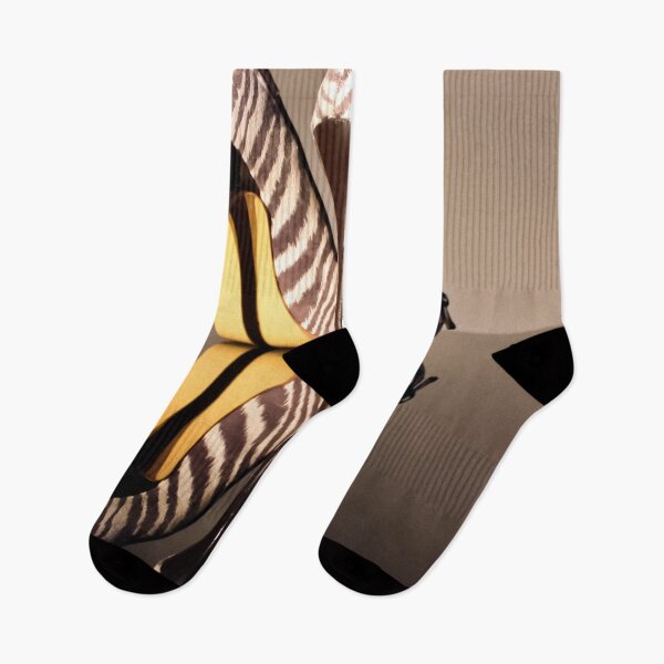 Item preview, Zebra Print Stiletto designed and sold by Terri Waters Photography & Design.