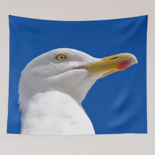 Item preview, British Herring Gull designed and sold by Terri Waters Photography & Design.