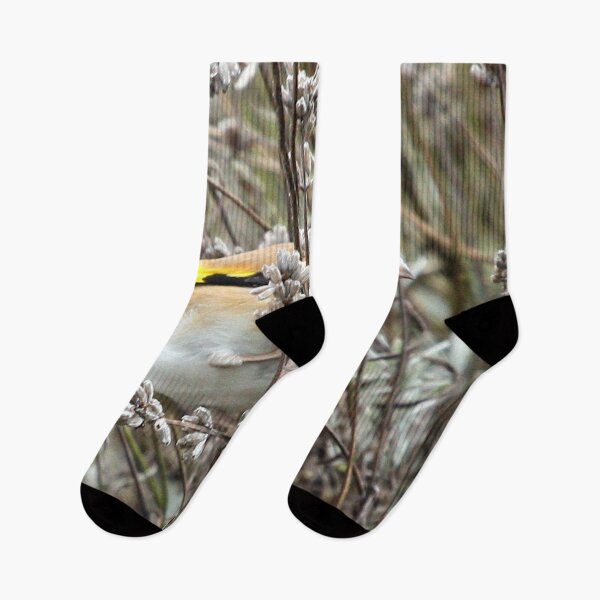 Item preview, Goldfinch designed and sold by Terri Waters Photography & Design.