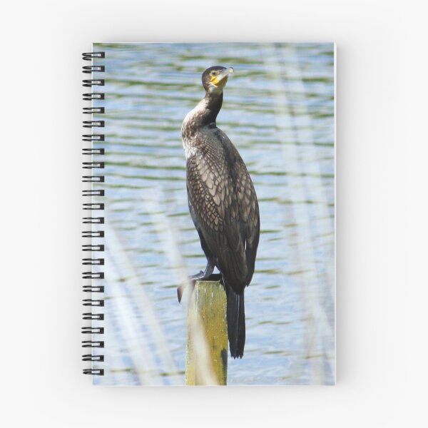 Item preview, Perching Cormorant designed and sold by Terri Waters Photography & Design.
